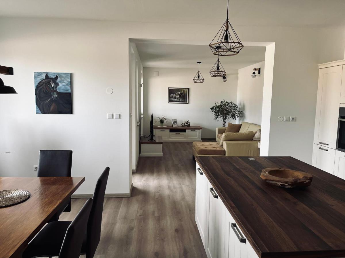 Apartment Country House Zaton Tisina ภายนอก รูปภาพ