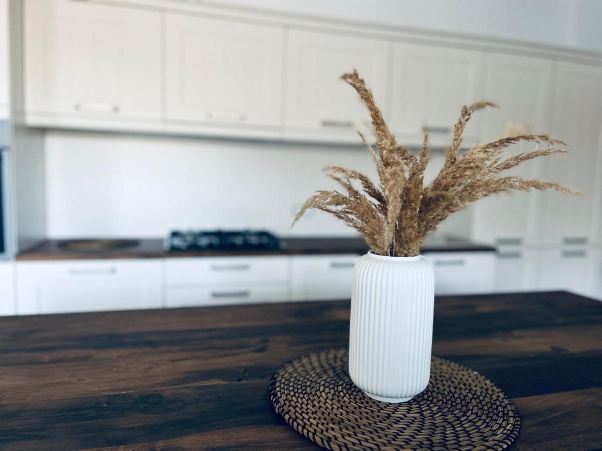 Apartment Country House Zaton Tisina ภายนอก รูปภาพ