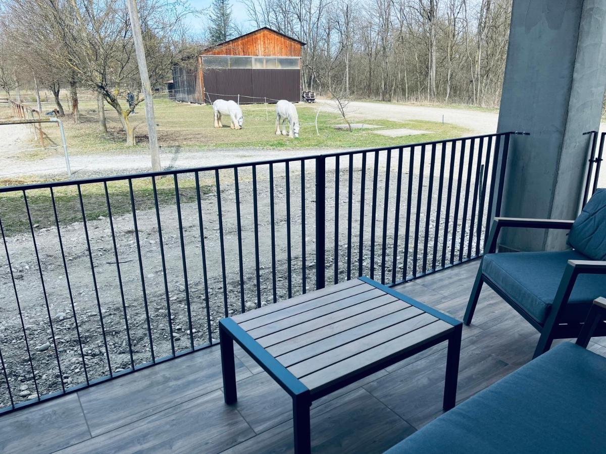 Apartment Country House Zaton Tisina ภายนอก รูปภาพ