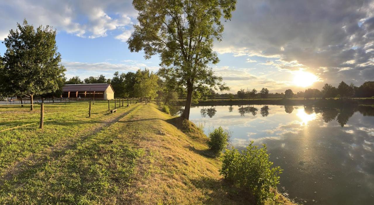 Apartment Country House Zaton Tisina ภายนอก รูปภาพ